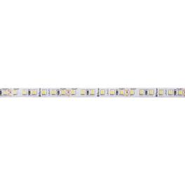 Светодиодная LED лента LS502, 180SMD(2835)/м 16Вт/м 24V 5000*10*1.22мм 6000К IP20 Feron