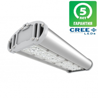 Светильник светодиодный  80W 5000К 9600Лм IP67 A-Street-F 80/9600   ЭКОСВЕТ 