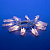 ULD-S0200-010-STB-2AA WARM WHITE IP20 CLIPS Гирлянда светодиодная на батарейках 2AA не в-к. Прищепки. 2м. 10 светодиодов. Теплый белый свет. Провод прозрачный. TM Uniel.