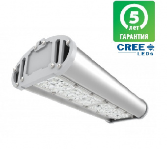 Светильник светодиодный  60W 5000К 7500Лм IP67 A-Street-F 60/7500  ЭКОСВЕТ 