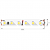 Лента светодиодная LUX3528 120LED/м 9,6Вт/м 24В IP33 Цвет:Холодный белый (6000K) (1метр) SWG